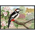 Carolines Treasures Woodpecker Indoor or Outdoor Mat- 24 x 36 ASA2175JMAT